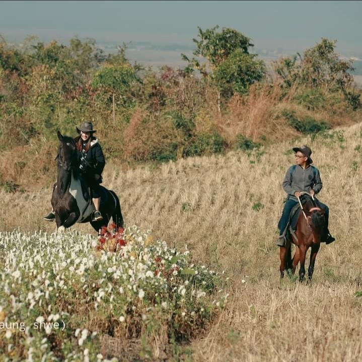 မြန်မာနိုင်ငံ ၌ ပထမဆုံးဖြစ်လာမည့် Horse Museum နှင့် ကောင်းဘွိုင် ရွာ ကို မန္တလေး ရွှေမြို့တော်တွင် တည်ထောင်မည်