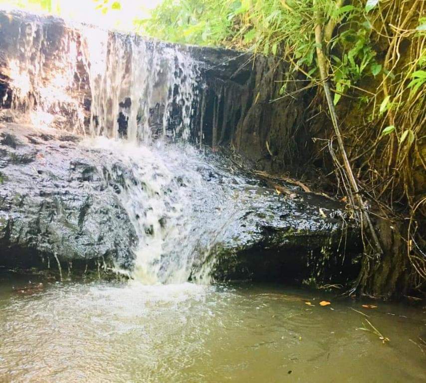 Kyauk Phyar Waterfall to become first trekking tour site in Yangon