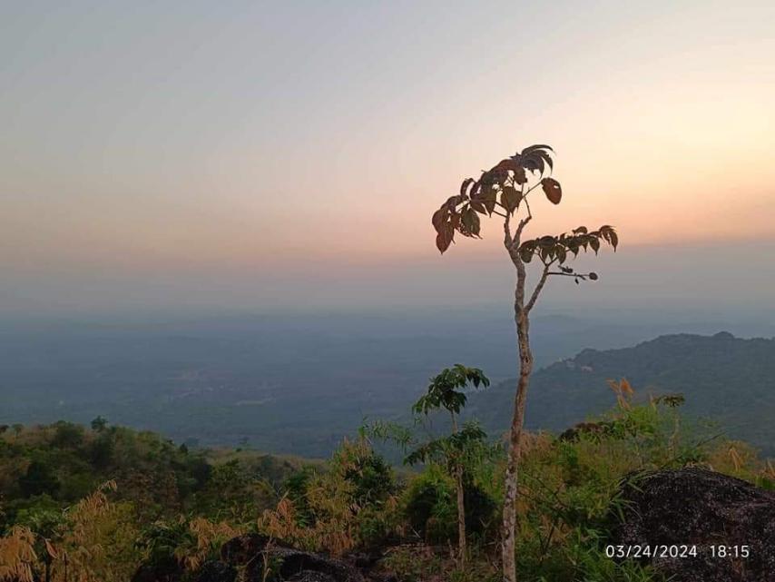 ကျိုက်ထီးရိုးဘေးမဲ့ကြိုးဝိုင်းအတွင်း ​တောတွင်းစွန့်စားမှုခရီးစဥ်များ ပြုလုပ်နိုင်မည့် Forest House Camping Site တစ်ခု စတင်ဖော်ဆောင်