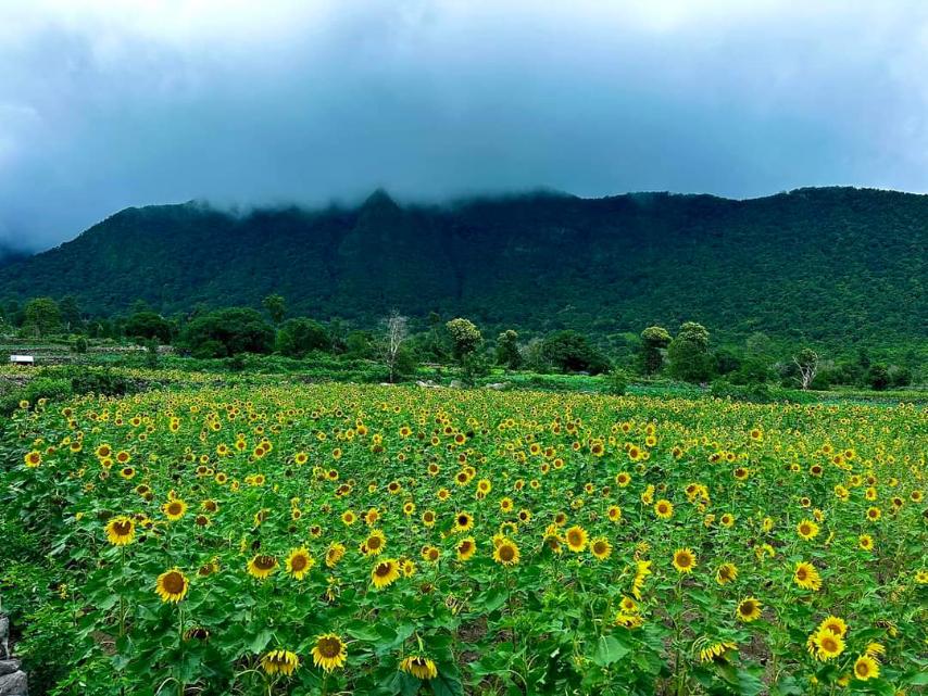 ပုပ္ပါးတောင်မကြီးအောက်ခြေတွင်ရှိသည့် တောင်ပေါ်ရွာ ခရီးစဥ်ကို ခရီးစဥ်ဒေသအသစ်အဖြစ် စတင်ရောင်းချလာ